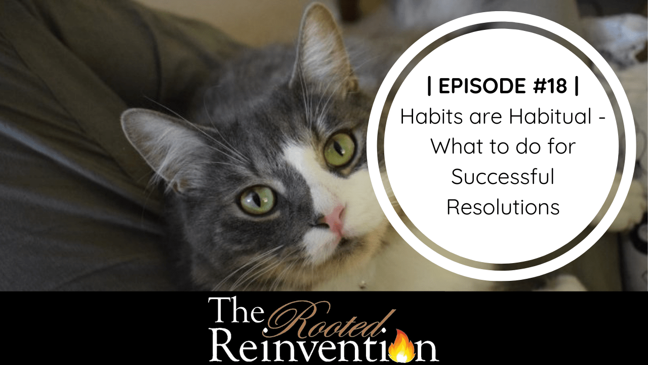 Habits are Habitual: What to do for Successful Resolutions | #18 ...