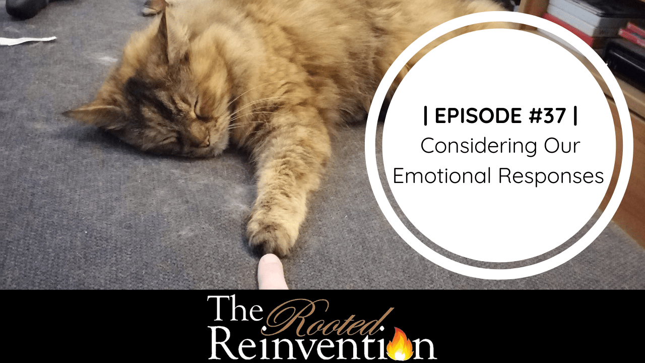 emotional management podcast episode ember cat