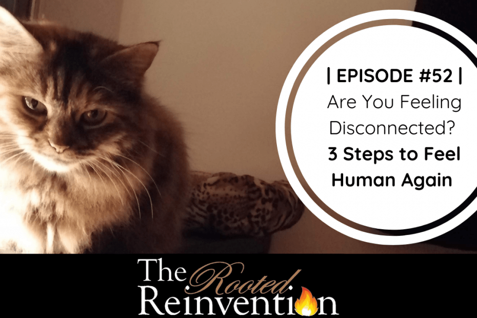 being human as a cat